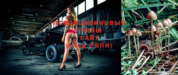 мдпв Сосновоборск