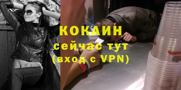 крисы Сосновка